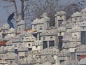 В Китае банда вымогателей похищает на кладбище урны с прахом, оставляя вместо них номер телефона В Китае банда вымогателей похищает на кладбище урны с прахом, оставляя вместо них номер телефона