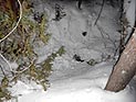 На Урале арестована бизнес-леди и ее возлюбленный, которые убивали людей, бравших для них кредиты На Урале арестована бизнес-леди и ее возлюбленный, которые убивали людей, бравших для них кредиты