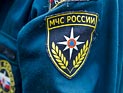 В Омске пожарный, оправданный ранее за убийство бабушки, приговорен к восьми годам колонии В Омске пожарный, оправданный ранее за убийство бабушки, приговорен к восьми годам колонии