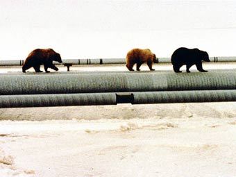       ,    anwr.org 