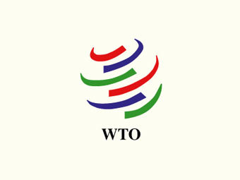  WTO   