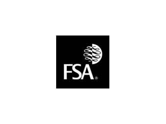  FSA   