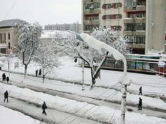  ,    town.kubannet.ru