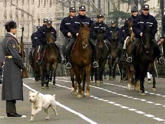 Грузинская полиция. Фото Reuters, архив