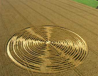   ,   .    cropcircleconnector.com