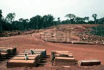     .    Liberia Environmental Watch