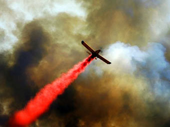    ,     -.  AFP