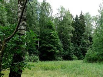  .    ecmo.ru 
