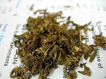.    dea.gov 