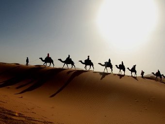    copyrightfreephotos.hq101.com