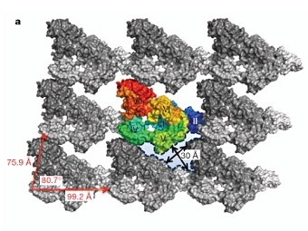   SbsB   .    Ekaterina Baranova et al.