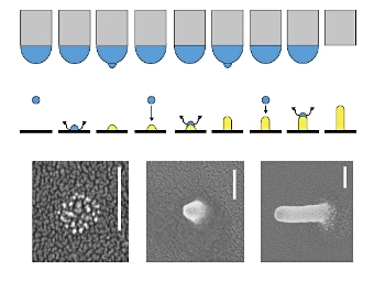   .    Galliker et al.