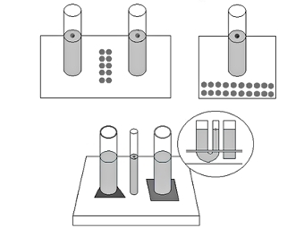   .   Cheke et al., PLoS One, 2012