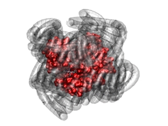      .  Gallat et al., 2012