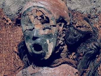  .  ,     .  Bernardo Arriaza