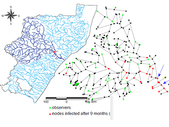   .    .    Pinto et al., 2012