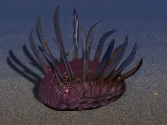    Wiwaxia.  Wikicommons