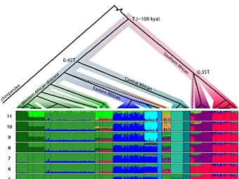    .    ()  100   .    Schlebusch et al.