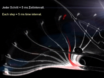    -.     Poppinga et al., PLoS ONE, 2012