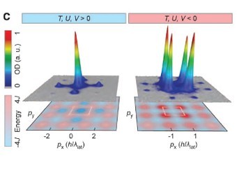          ()   .    Braun et al., Science., 2012